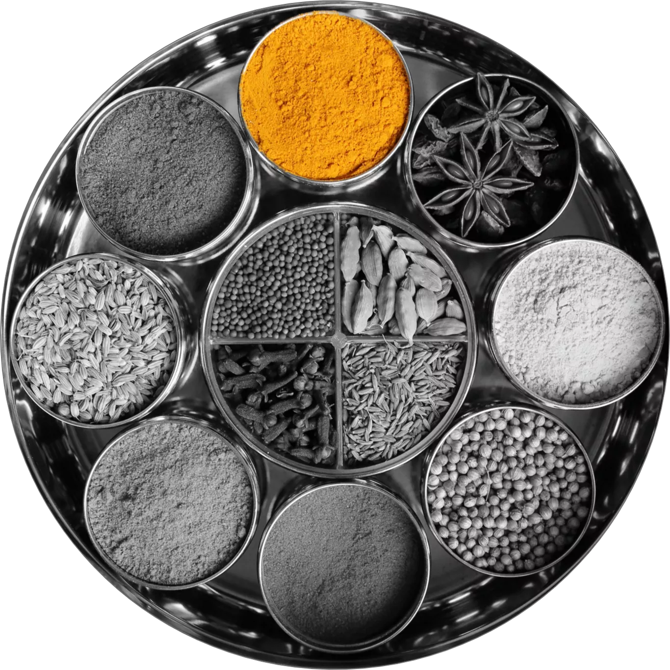 A steel masaledaani holding turmeric, cumin, cardamom, cloves and more